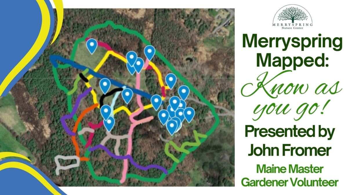 ms mapped fb event
