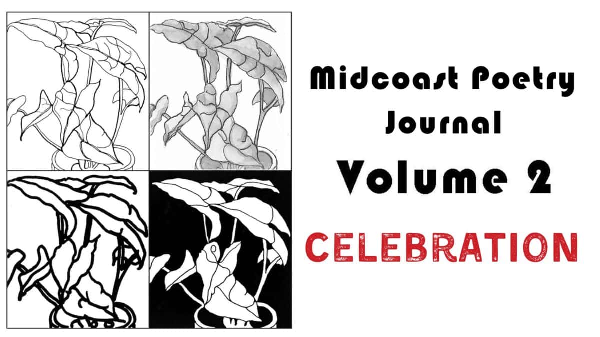 four abstract black and white plant drawings in a grid on the left; bold text on the right reads midcoast poetry journal volume 2 celebration, with celebration in red.