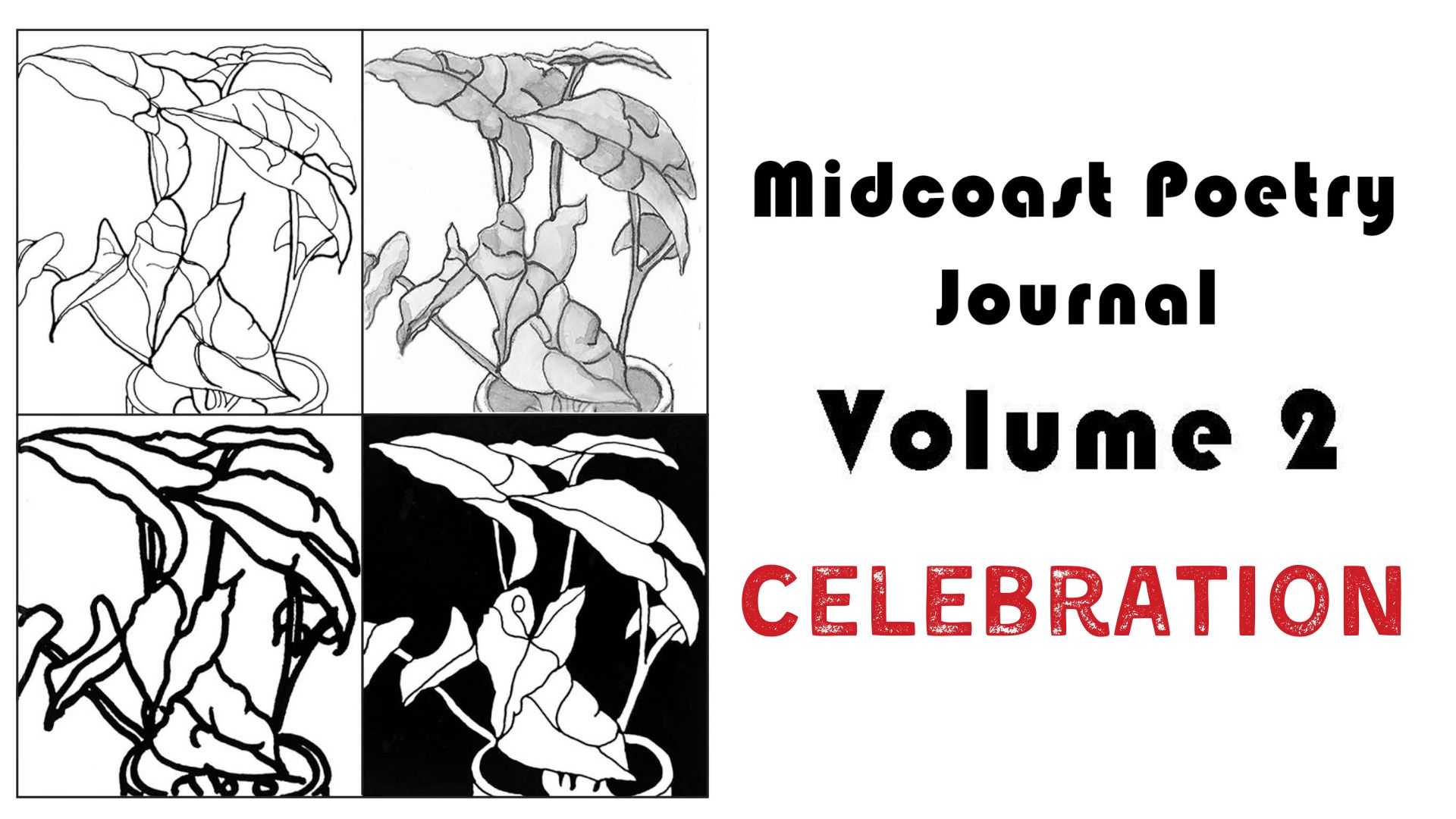four abstract black and white plant drawings in a grid on the left; bold text on the right reads midcoast poetry journal volume 2 celebration, with celebration in red.