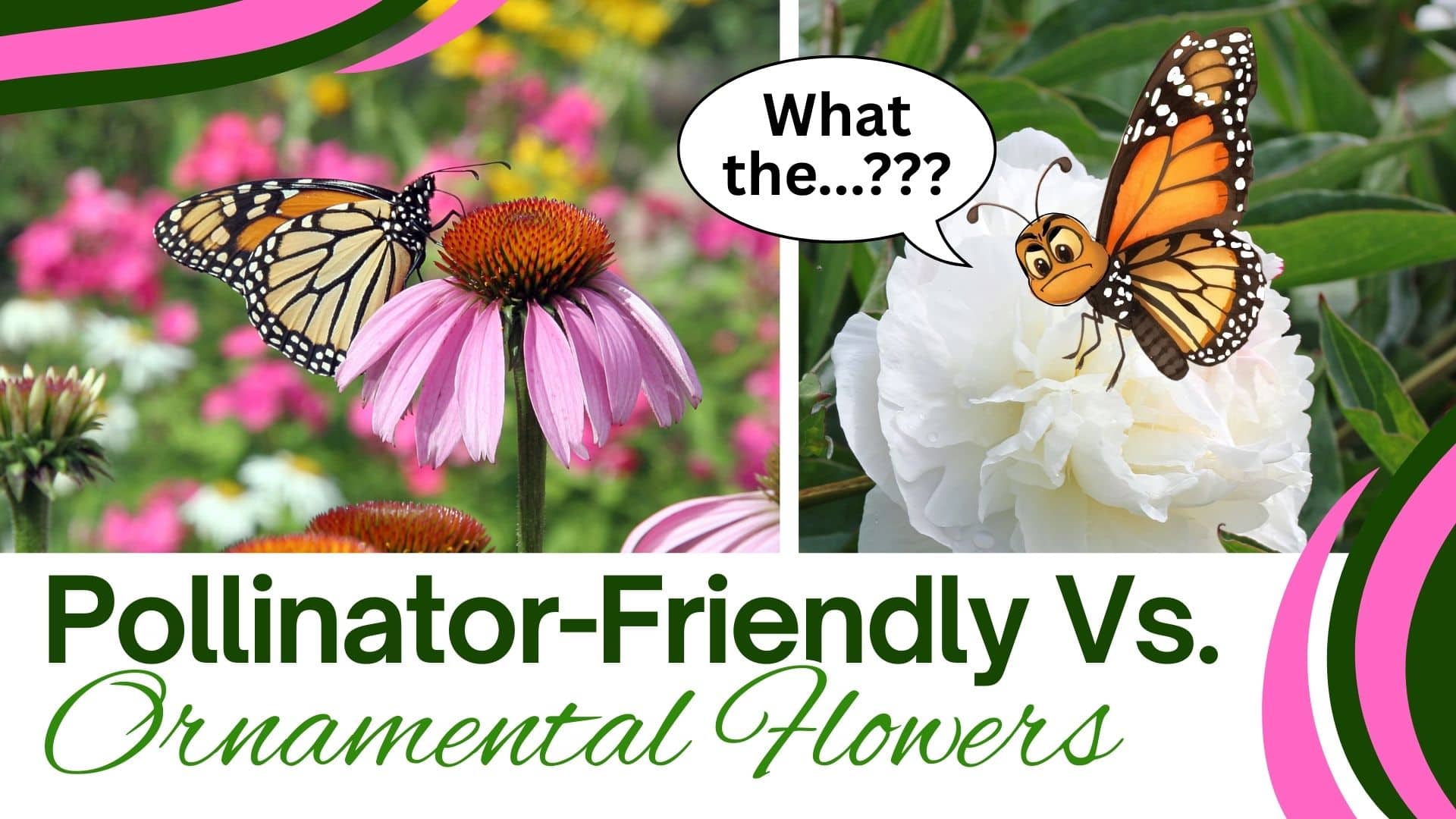 pollinator fb