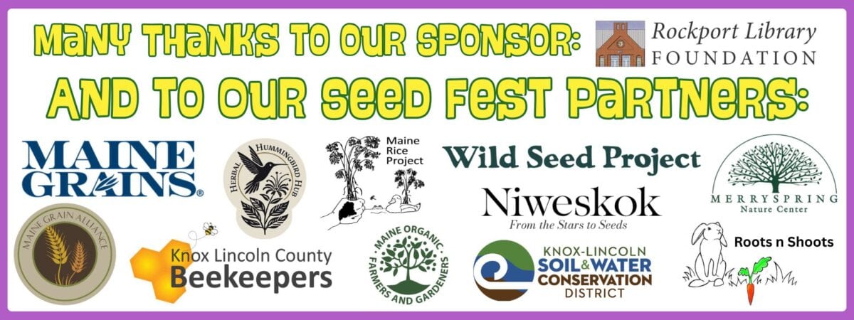 seed fest 26 web 3