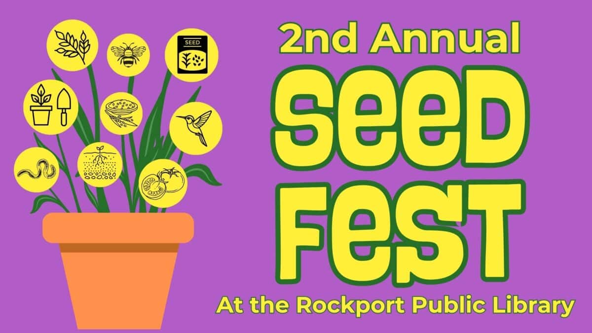 seed fest fb