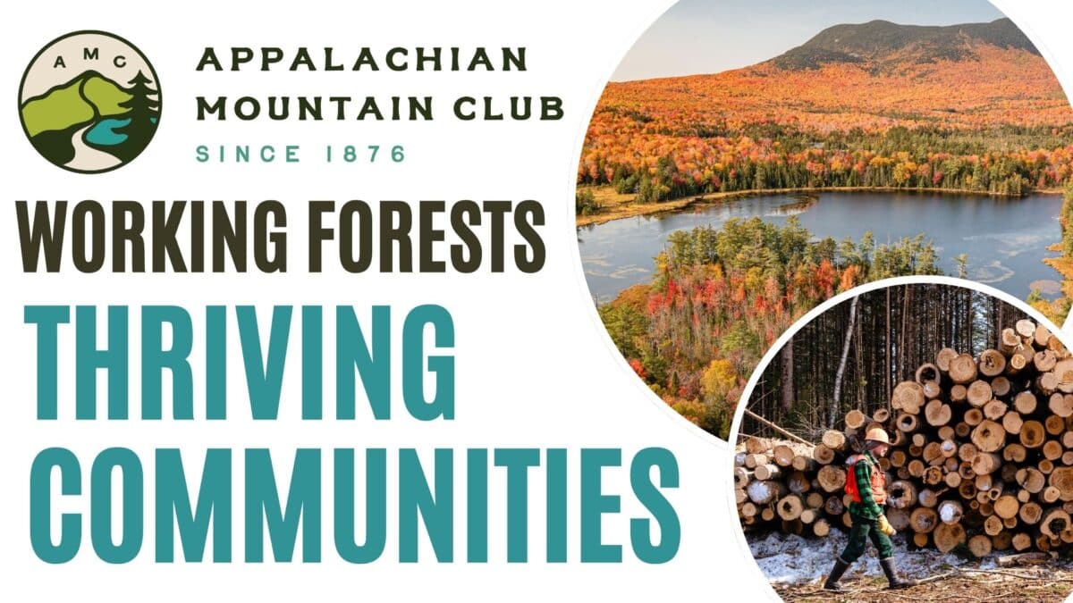 appalachian mountain club logo, working forests, thriving communities text, photo of autumn forest and lake, and photo of person walking by stacked logs in the woods.